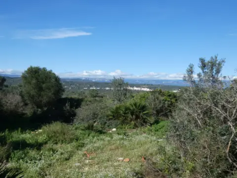 Terreno en Polígono Poligono 15, Parcelas 106 y 166