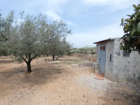 Finca rústica en Cervera del Maestre