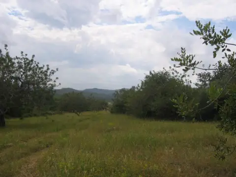 Finca rústica en Partida Centelles