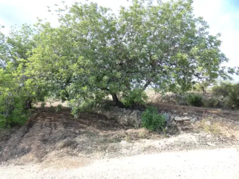 Terreno en calle Poligono 36