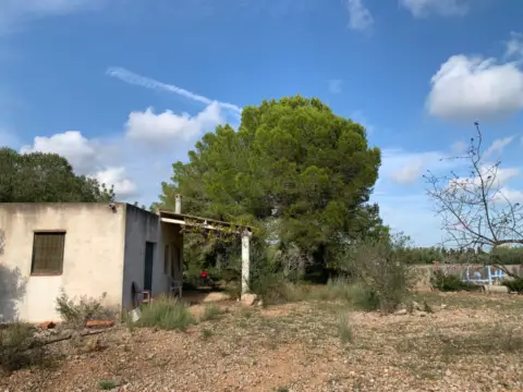 Terreno en calle Poligono 43, Parcelas 350, 353,559