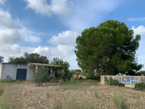 Terreno en calle Poligono 43, Parcelas 350, 353,559