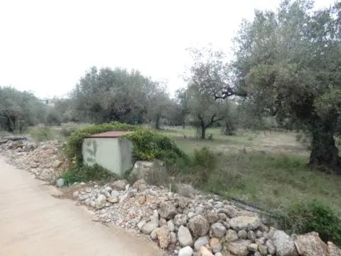 Finca rústica en calle Partida Murons  Pol 3