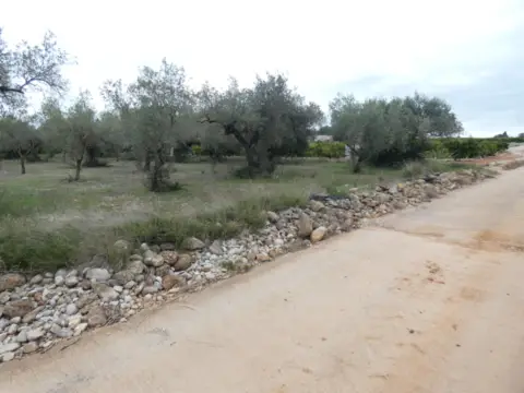 Finca rústica en calle Partida Murons  Pol 3