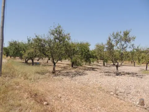 Finca rústica en Polígono 22. Parcelas 236, Pda Collet