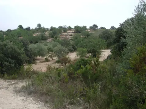 Finca rústica en Poligono 37