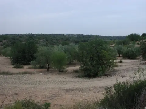 Finca rústica en Poligono 37