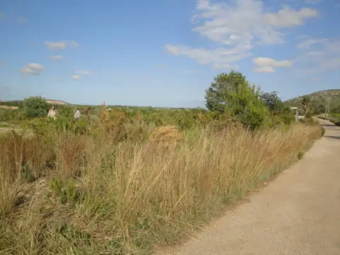 Finca rústica en Poble de Benicarló
