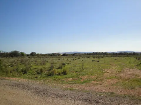 Finca rústica en Mas del Rey