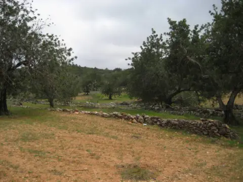 Finca rústica en Poble de Benicarló
