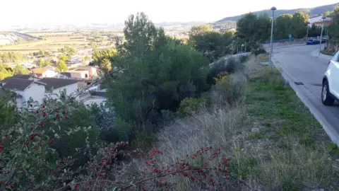 Terreno en Carrer de la Petúnia