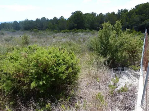 Terreno en Carrer de Josep Roca i Sastre, 6