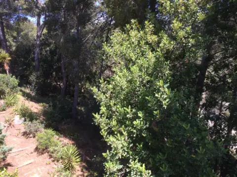 Terreno en Eixample de Cunit