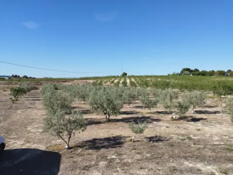 Terreno en Pedanias y Noroeste