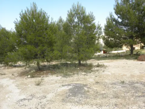 Terreno en Carretera Llano De Béjar