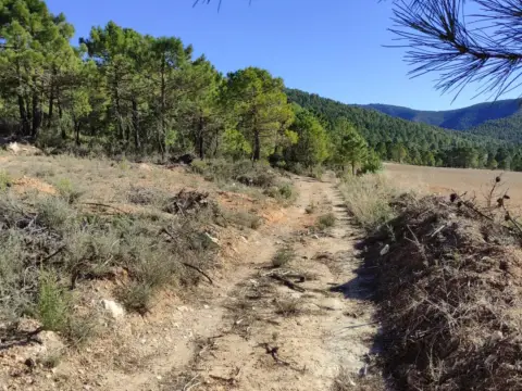 Finca rústica en Moratalla