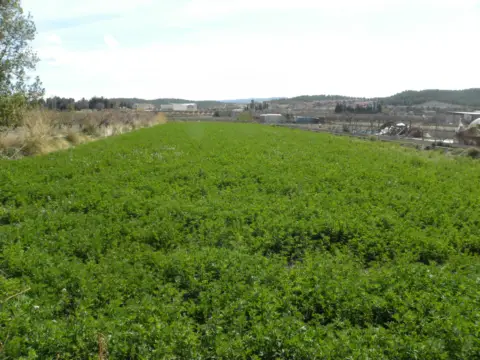 Terreno en Huerta de Caravaca