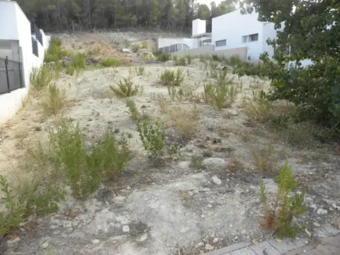 Terreno en calle Vial