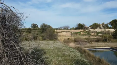 Terreno en Caravaca de La Cruz