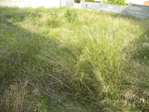 Terreno en Prolongación