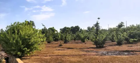 Finca rústica en Polígono 16