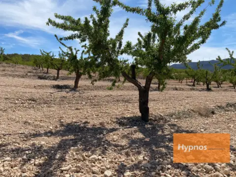 Finca rústica en Fuente del Pino