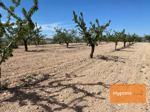 Finca rústica en Fuente del Pino