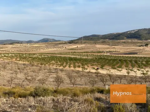 Terreno en Jumilla