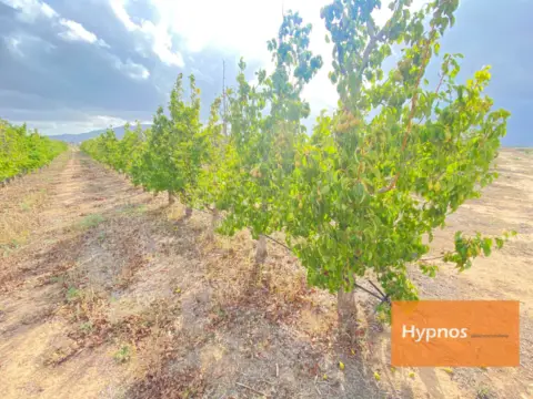 Finca rústica en Polígono 42, Par. 87