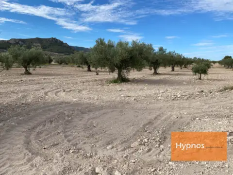 Terreno en Jumilla