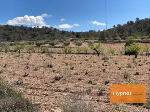 Finca rústica en Jumilla