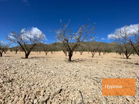 Finca rústica en Jumilla