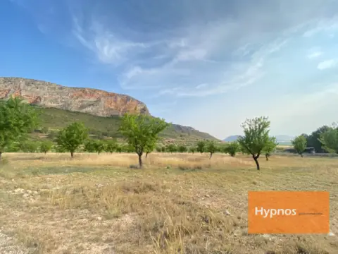 Finca rústica en Jumilla