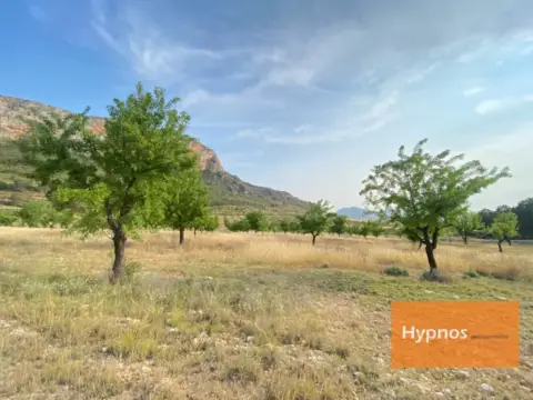 Finca rústica en Jumilla