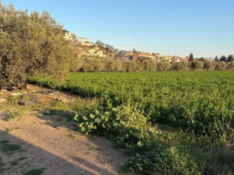 Terreno en Carrer Torre Roja, 1