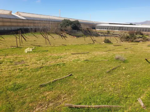Terreno en calle Cañada los Cabriles