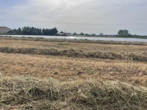 Finca rústica en Son Mieres