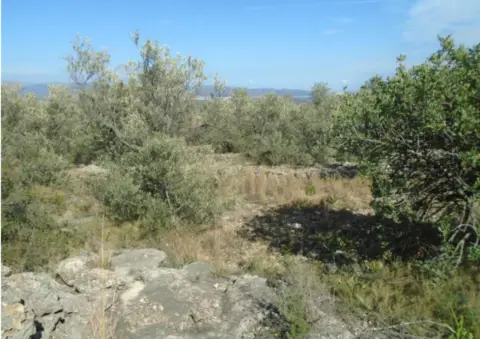 Terreno en Camí de la Vall d'en Pastor