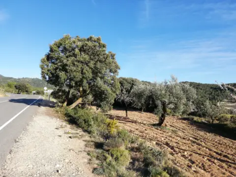 Finca rústica en Polígono Biscoy (Biscois) Pol. 2