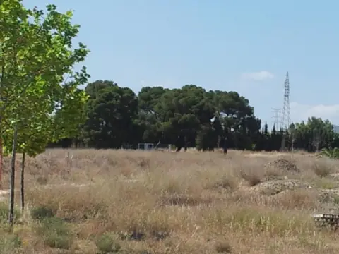 Finca rústica en calle Partida Hoya de Ibi