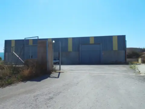 Nave industrial en Polígono 8