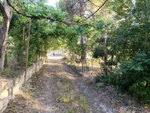 Finca rústica en Camino Sopalmo