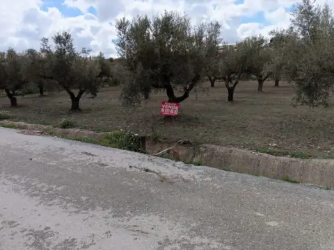 Finca rústica en Polígono Marjal