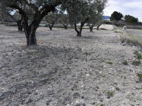 Terreno en Polígono 6