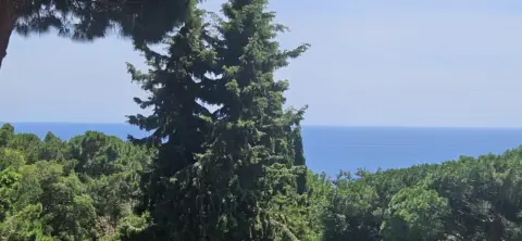 Casa pareada en Avinguda de la Llevantina