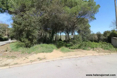 Terreno en Carrer del Consell