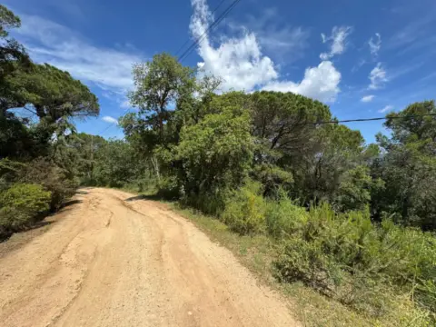 Terreno en Urbanització de Can Reixach
