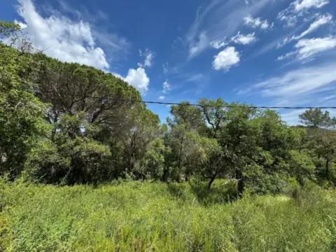 Terreno en Urbanització de Can Reixach