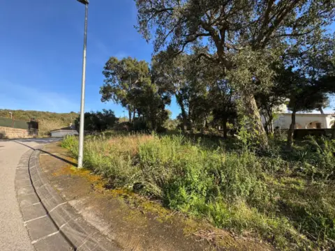 Terreno en calle Puig de Les Bacasses