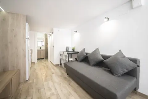 Estudio en Carrer de la Flor de Neu